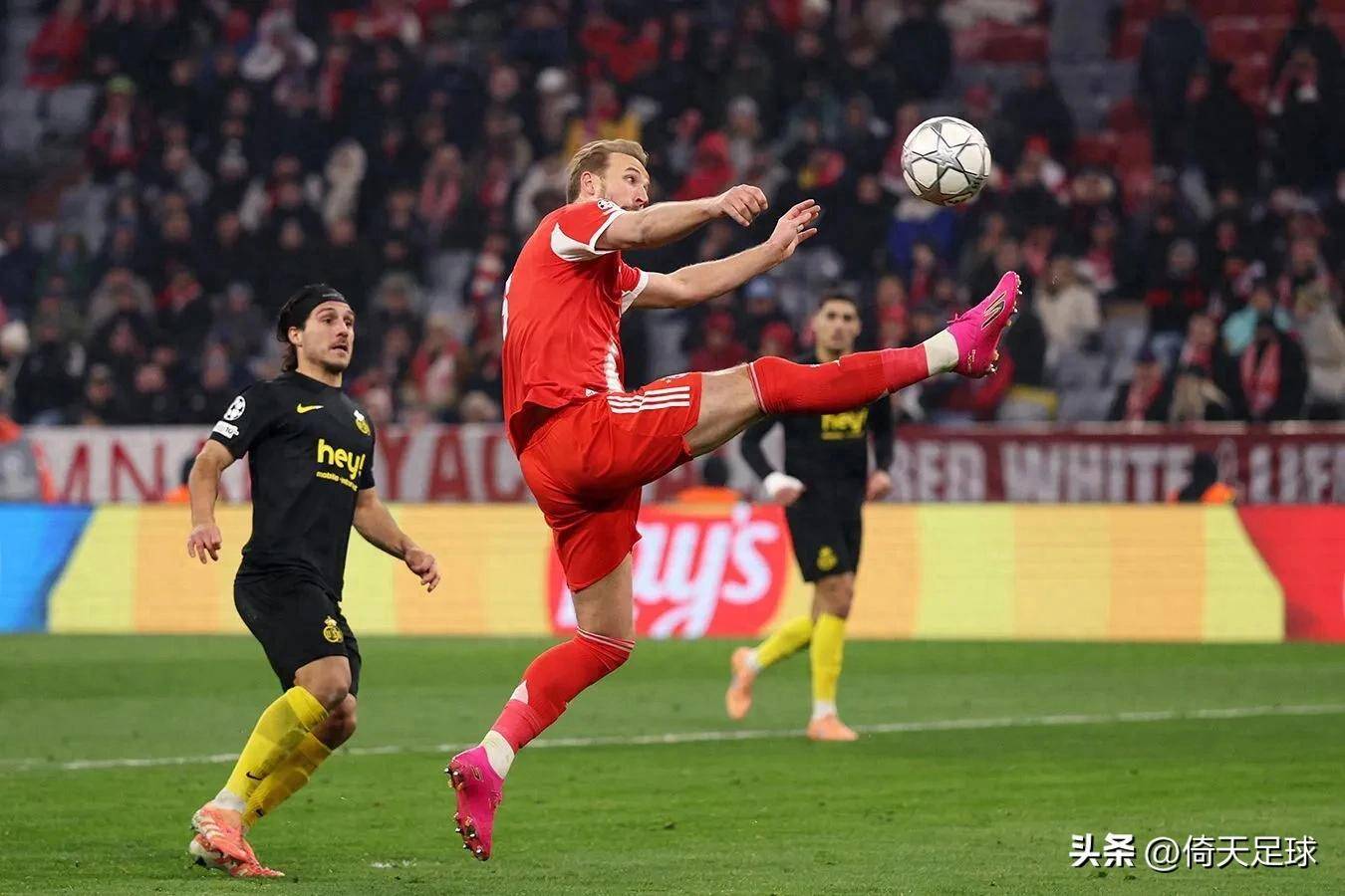 开云在线登陆入口-德甲拜仁慕尼黑vs霍芬海姆