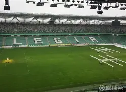 开云在线登陆入口-波兰球队分析